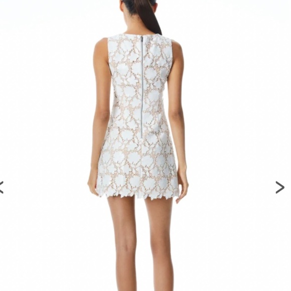 Alice + Olivia Clyde Crochet Floral Sheath Mini Dress - Picture 3 of 14